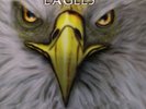 The Eagles Hotel California In Concert[LP] Litd glitter colored vinyl, US SELLER