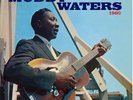 Muddy Waters - At Newport 1960 [New Vinyl LP] Spain - Import