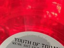 Youth Of Today – We Are Not In This Alone Lp Color Vinyl Punk Hardcore Rare