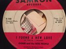 Rare Garage Fuzz Punk Rocker PA Ognir And The Nite People Samron Records 45
