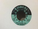 NORTHERN SOUL RUBY ANDREWS - JUST LOVING YOU