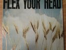Flex Your Head Compilation (Minor Threat,Government Issue,Iron Cross) DISCHORD 7