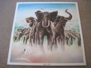 ELVIS COSTELLO & THE ATTRACTIONS Armed Forces & INNER & INSERTS 1979  near mint