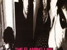THE FLAMING LIPS / In A Priest Driven Ambulance  (VINYL)