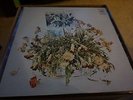 The CHURLS Send Me No More Flowers orig Psych  LP  DJ Copy