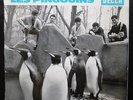 LES PINGOUINS Shuffle +3   RARE 1963 DECCA EP   surf instrumental