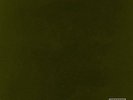 KENDRICK LAMAR UNTITLED UNMASTERED NEW SEALED VINYL LP IN STOCK