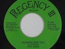70s Soul 45 - Fat Jack - Winning For You - Regency III - mp3 - obscure