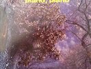 VINCE TEMPERA - Piano, piano - LP ITA 1974 MINT