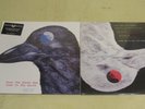 STRAWBERRY PATH -When the Raven Has Come To Earth-LP re of 1971-Hard psych Rock