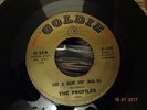 NORTHERN SOUL ; THE PROFILES / TAKE A GIANT STEP ( GOLDIE )