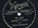 BLUES- BOOKER T.WHITE 