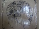 THE ROOTS / PHRENOLOGY (2LP) Shrink  Quest Love , Black Thought
