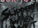Bon Jovi 