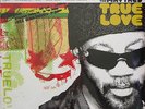 RARE  TOOTS AND THE MAYTALS 