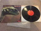 Iguana 