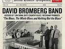 Blues The Whole Blues And Nothing But - David Bromberg (Vinyl Used Very Good)