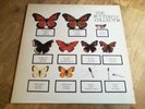 Paul Weller 2x LP The Butterfly Collector USA TBS press NEAR MINT VINYLS The Jam