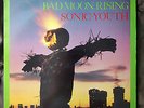 Sonic Youth Bad Moon Rising NEAR MINT Original 1st Press 1985 Vinyl 12
