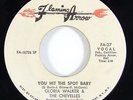 Gloria Walker & The Chevelles 