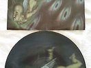 TOOL SELECTIONS FROM AENIMA PICTURE DISC VINYL 12