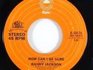 Randy Jackson 