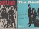 BEATLES- SHE LOVES YOU VINILE VERDONE- ROLLING STONES-PAINT IT,BLACK