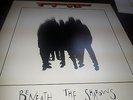 True Sounds Of Liberty  Beneath The Shadows