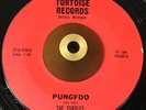 The Turtles -Pungfoo Watusi- Popcorn Tittyshaker Surf 45 on Tortoise - Hear