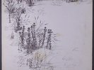 BILL CAMPLIN: January LP (Wisconsin, textured gatefold, 6