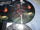 IRON MAIDEN NEW LP  2 THE BEAST IN THE GARDEN N.Y USA 2016 PICTURE DISC PDK 250