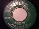 Walt Cochran and Holly River Boys 