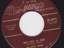 Fast Doo Wop 45 - ROYAL JOKERS - She's Mine All Mine / Ride On Little Girl