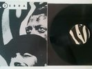 LP Yello, Zebra