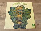 Ultimate Spinach - Same 1968 UK LP MGM MONO 1st PSYCH