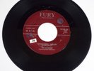 * THE KODOKS * Teenagers Dream / Little Boy And Girl - Fury 1007 - DooWop
