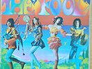 THE FOOL - 'The Fool' - 1969 SUPER RARE psychedelic vinyl lp (Mercury).