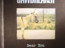 JAWBREAKER - Dear You - Vinyl (LP)