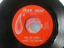 danny and the dreamers tear drop 45 chicano soul