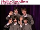 BEATLES ULTRA  