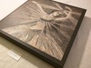 Neutral Milk Hotel Box Set