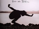 VEDDER, Eddie - Into The Wild - Vinyl (gatefold 180 gram vinyl LP)