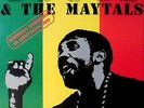 TOOTS AND THE MAYTALS - 1994 - Konzertplakat - Reagge Live - Tourposter