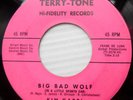 KIM GARRI teen rocker 45 BIG BAD WOLF b/w STORY OF LOVE strong VG to VG+ F1976