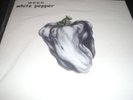 WEEN  White Pepper  vinyl LP unplayed