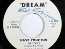THE TOPICS-HAVE YOUR FUN ON DREAM RARE NORTHERN 45-VG+ HEAR