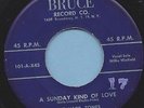 Harp-Tones - Bruce 101 A SUNDAY KIND OF LOVE