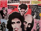 The Rocky Horror Picture Show Vinyl LP (Coloured Vinyl, 2013)