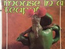 Forgiving: Mouse in a Teapot, RARE NZ ACID FOLK PSYCH, POKORA 3 STARS  NM