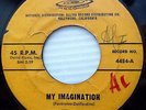 THE V CLASSICS doowop 45 MY IMAGINATION b/w COME ON BABY Arc records       FM277